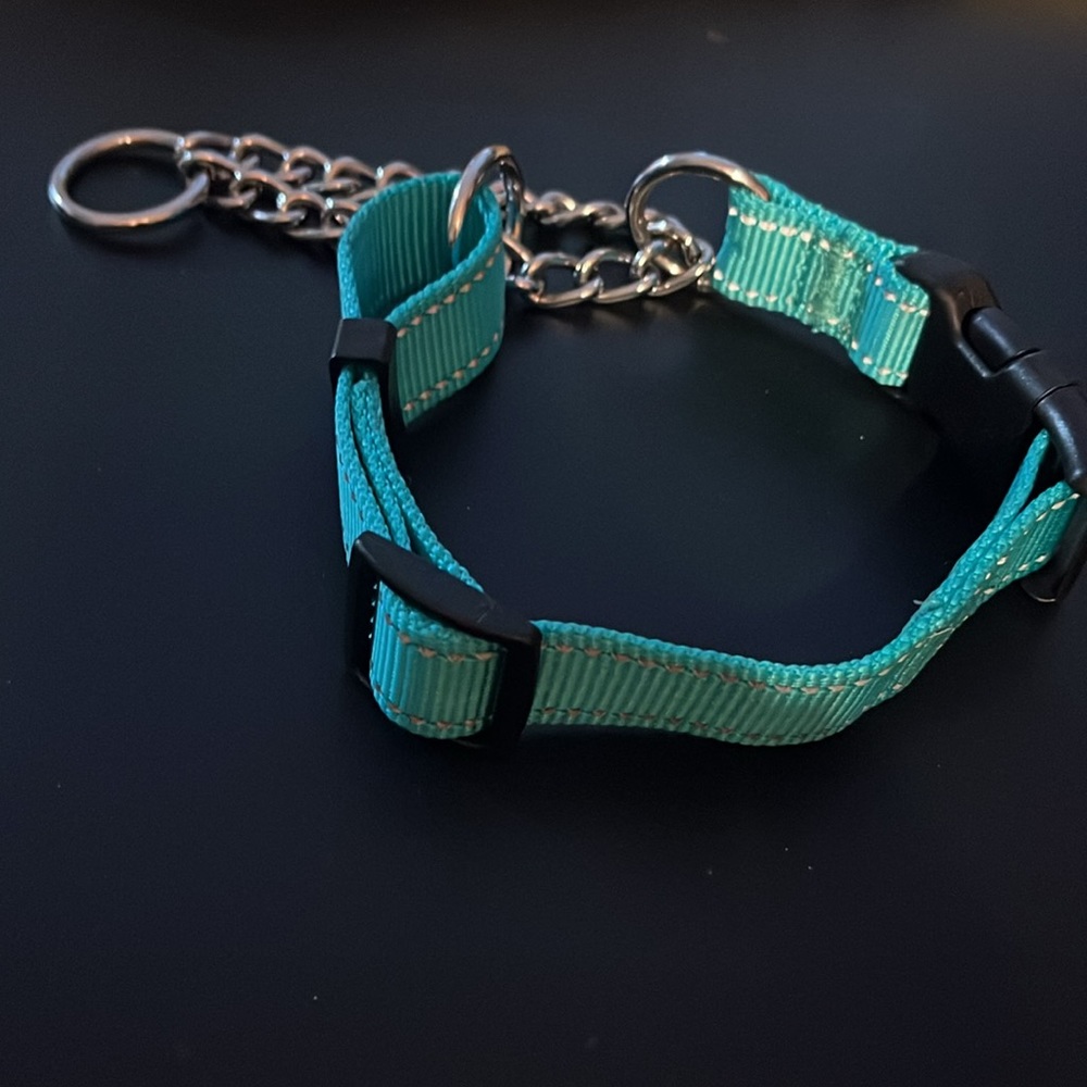 REFLECTIVE DOG COLLAR, nwt - Picture 5 of 11